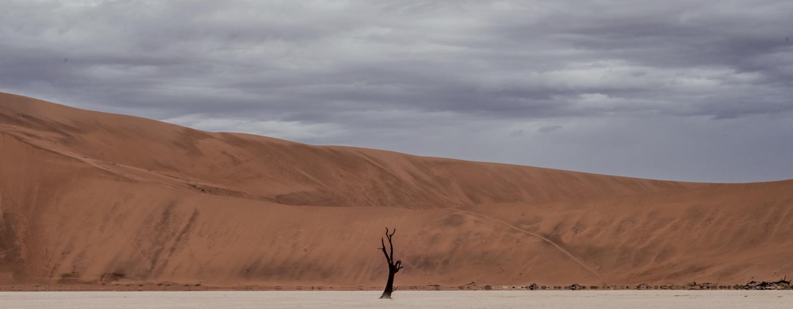 Hero Image - 1600x623