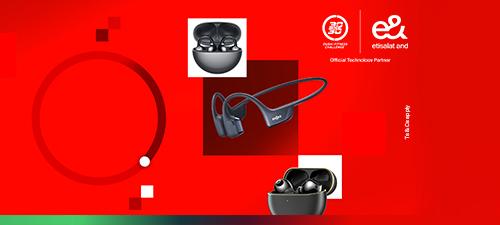 dfc-accessories-nwt1-en-p4-500x225