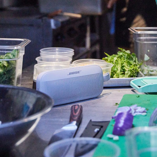 sound-link-flex-feature-3