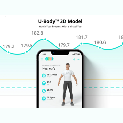 3D Virtual Model.